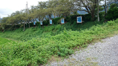 姉川古戦場