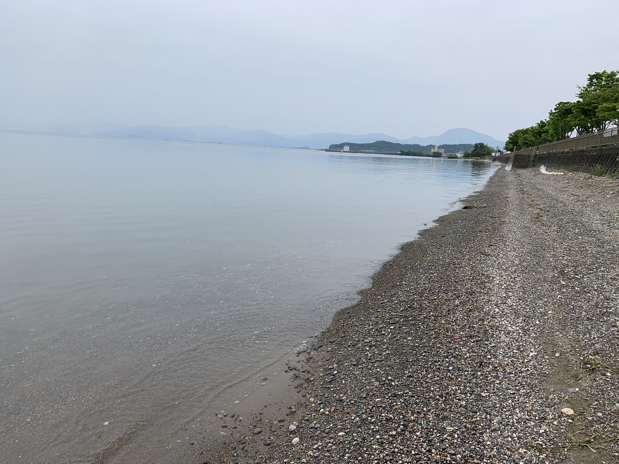 彦根さざなみ街道沿いの浜