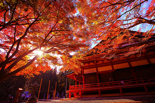 E Radio Lakeside Fm77 0 比叡山延暦寺 E Radio Lakeside Fm77 0 比叡山延暦寺