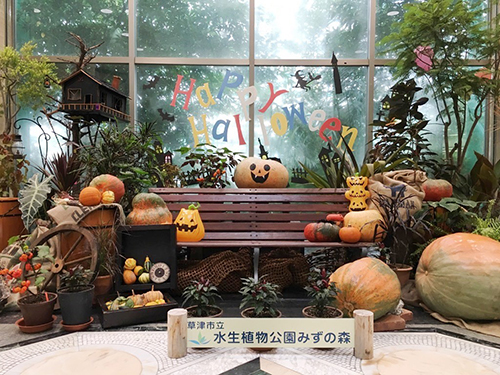 ハロウィン10月1日～31日