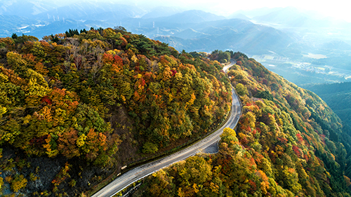 ドライブウェイの紅葉(空撮・8.0km付近・標高686m付近）