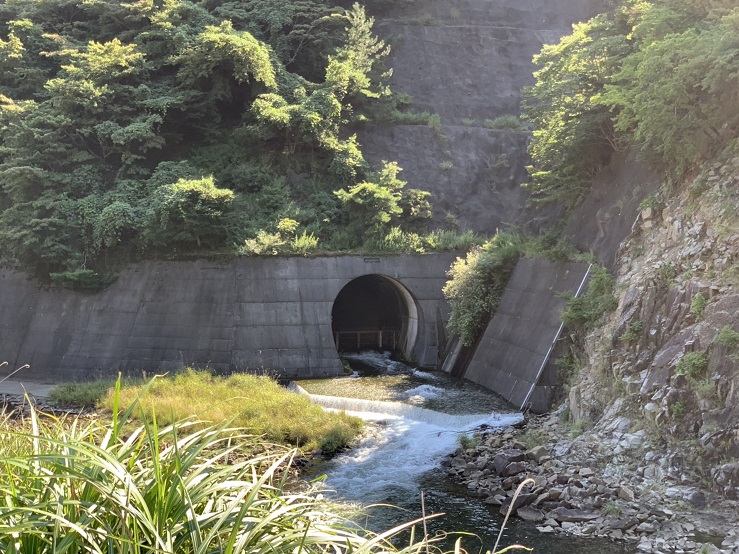 青土ダム下流公園から