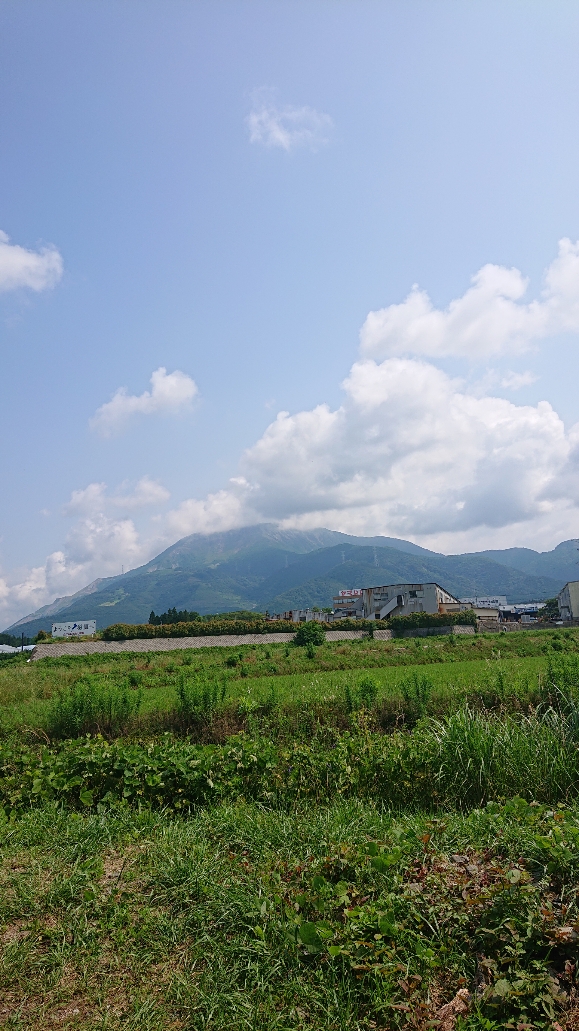 16245060518434La5u_image1