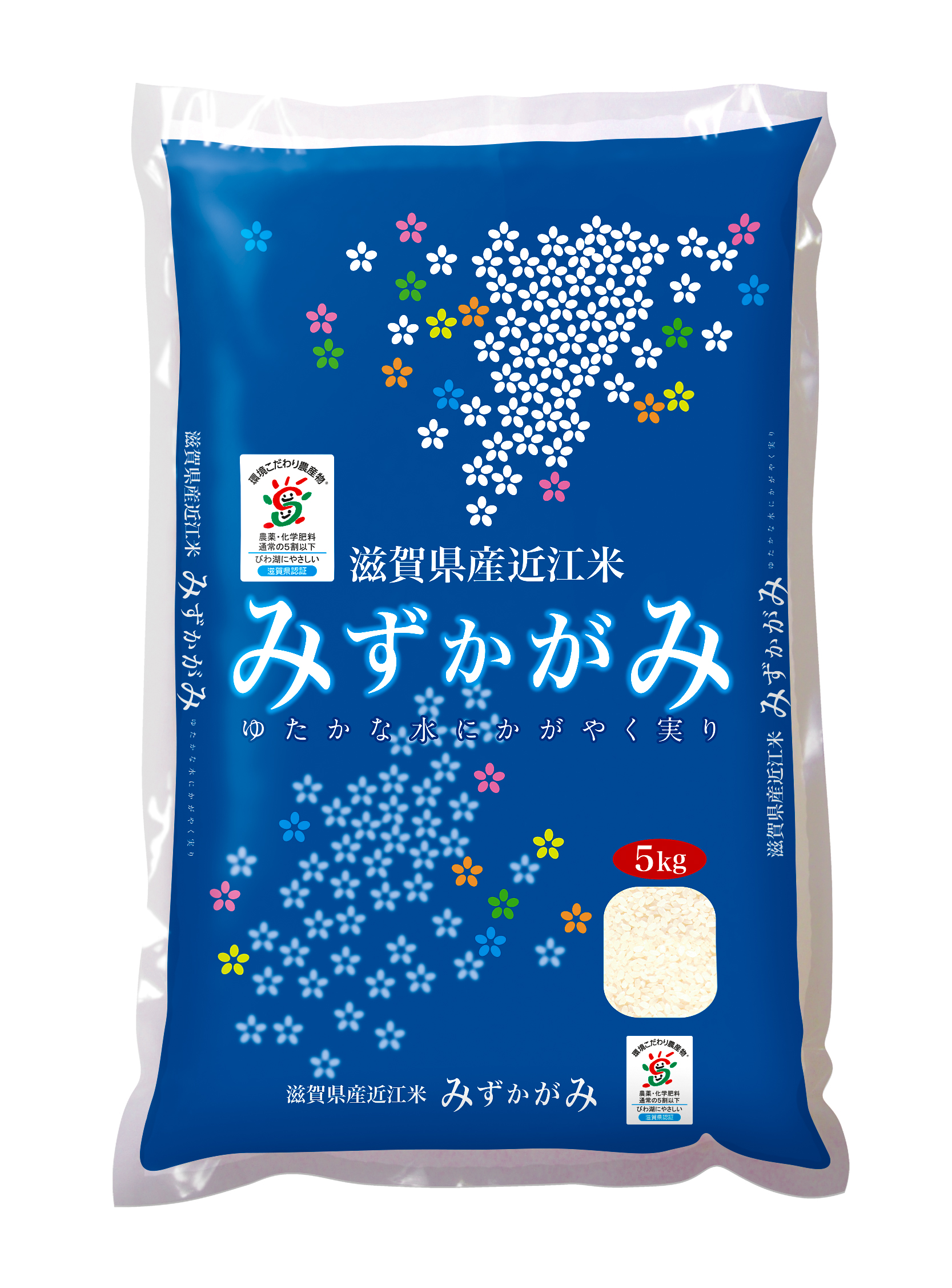 タイトル